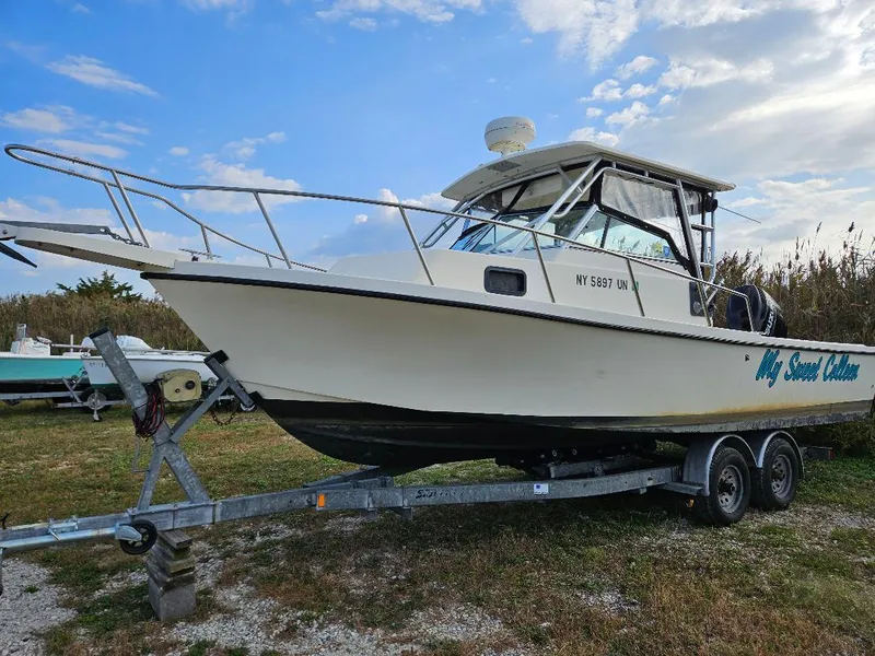 Slide: The Image of Parker 25 Walkaround 1998 - 5