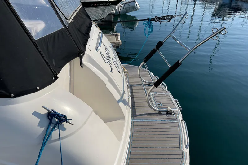 Slide: The Image of Swim Step / Davits from Port - 10