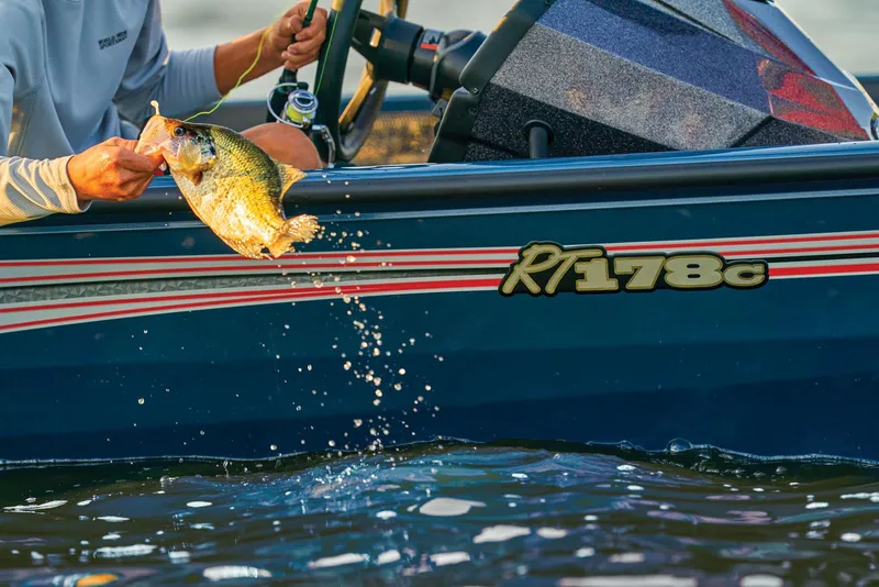 Slide: The Image of Manufacturer Provided Image - 55