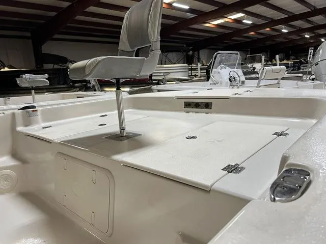 Slide: The Image of Carolina 21 LS 2025 - 4