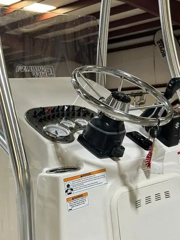 Slide: The Image of Carolina 21 LS 2025 - 9