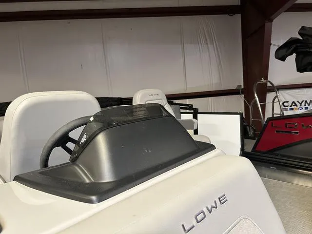 Slide: The Image of Lowe LS 190 2025 - 4