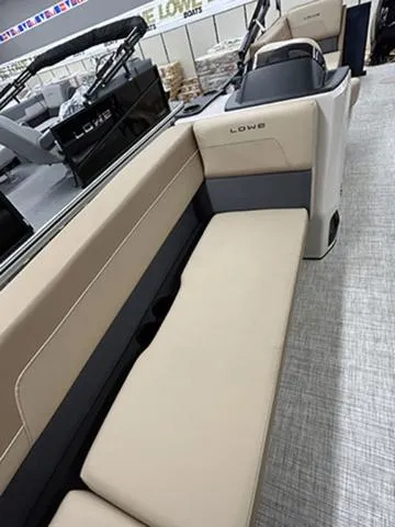 Slide: The Image of Lowe LS 210 WT 2025 - 6