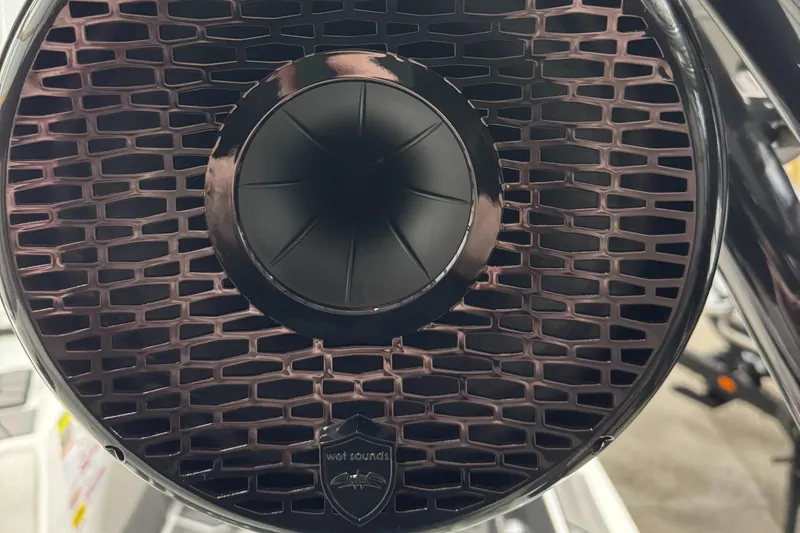 Slide: The Image of Speaker grille of 2025 Supreme S220, featuring a sleek, modern design. - 18
