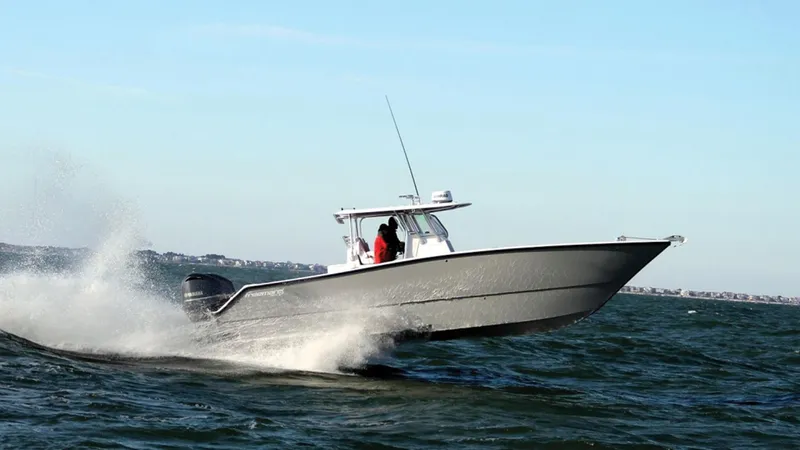 Slide: The Image of Freeman 34VH 2025 - 2