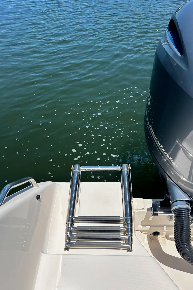 Slide: The Image of 2020 Grady-White Freedom 275 boat ladder and motor on water. - 6