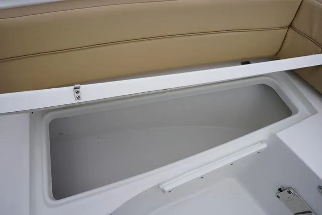 Slide: The Image of Sea Pro 240 DLX 2025 - 11