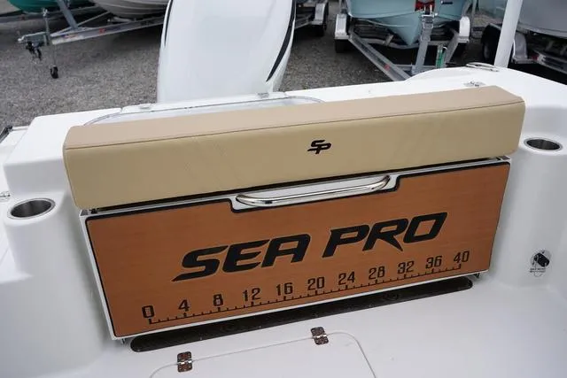 Slide: The Image of Sea Pro 240 DLX 2025 - 31