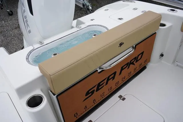 Slide: The Image of Sea Pro 240 DLX 2025 - 5