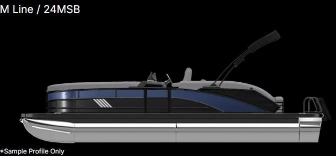 Slide: The Image of Bennington 24MSBSE 2025 - 15