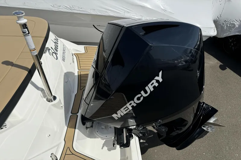 Slide: The Image of Sea Ray SPX 230 Outboard 2023 - 6