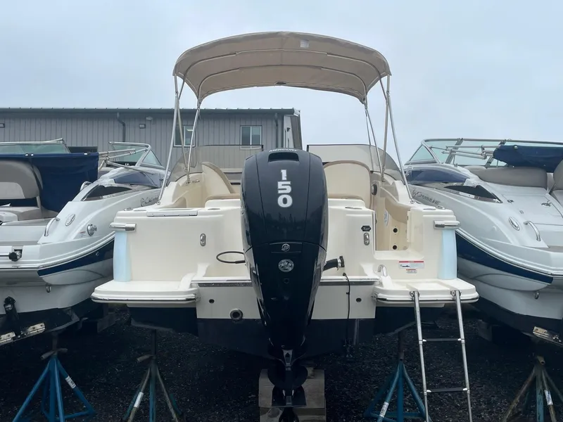 Slide: The Image of Scout 215 Dorado 2023 - 5