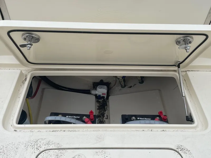 Slide: The Image of Scout 215 Dorado 2023 - 7