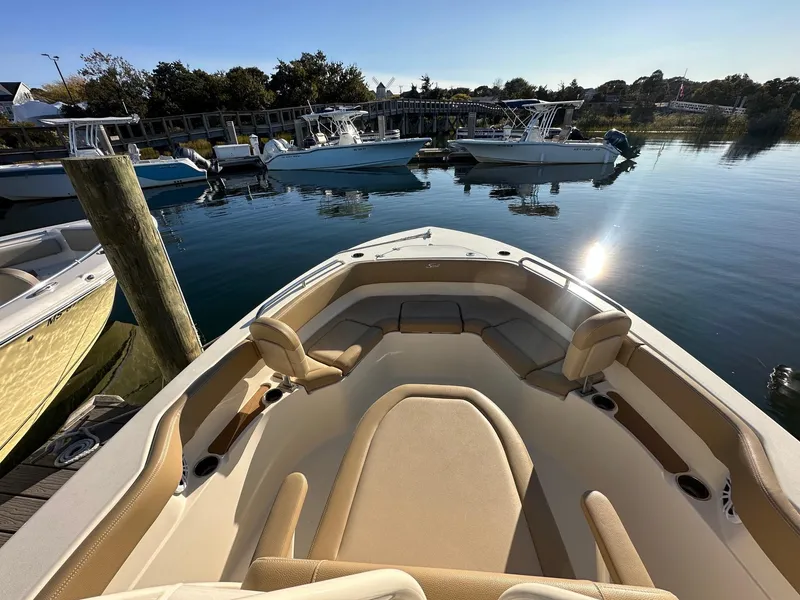 Slide: The Image of Scout 215 XSF 2022 - 2