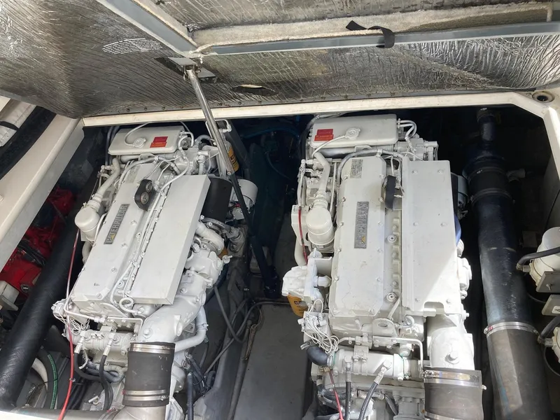 Slide: The Image of Twin Caterpillar 3116 - 51