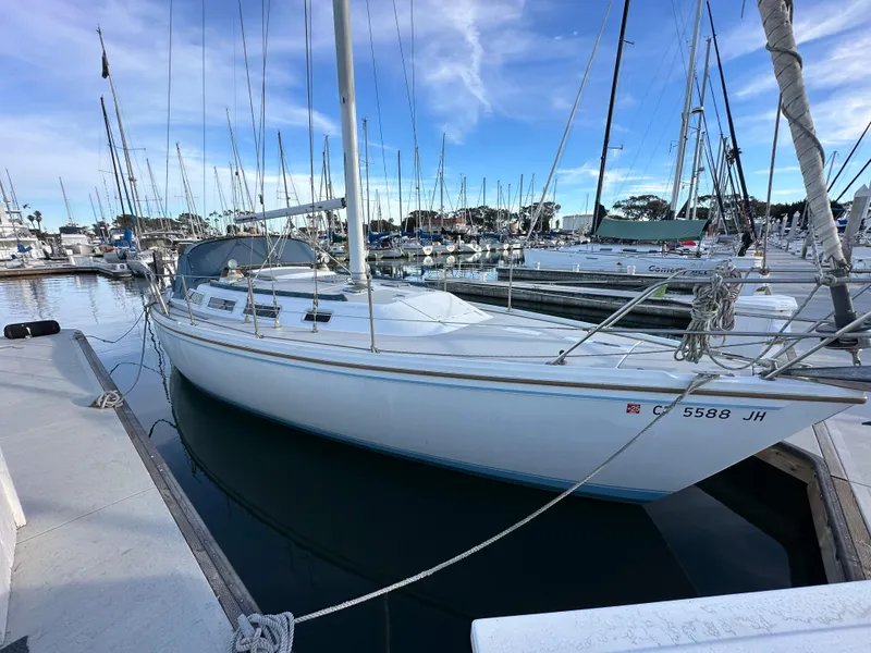 The Image of 1986 Catalina 36 sailboat docked in a marina under a clear blue sky. - 0