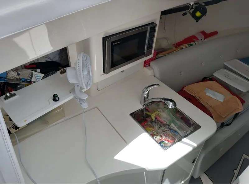 Slide: The Image of 2009 Intrepid 310 WA interior with sink, microwave, and storage area. - 17
