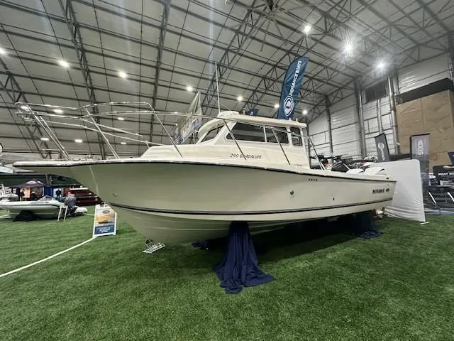 The Image of Defiance 290 Admiral EX 2024 - 1