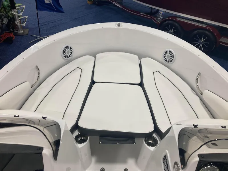 Slide: The Image of Stingray 172 DC 2025 - 12