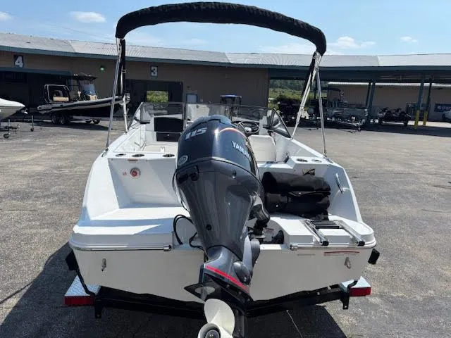 Slide: The Image of Stingray 172 DC 2025 - 4