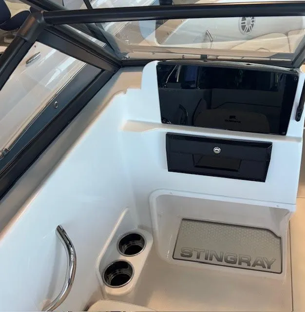 Slide: The Image of Stingray 172 DC 2025 - 6