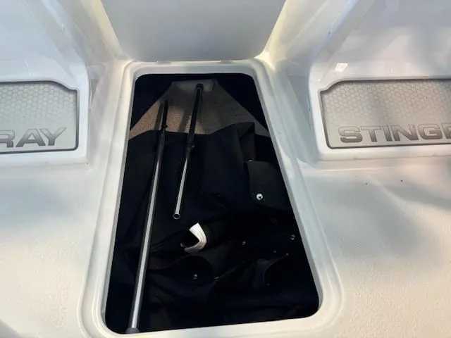 Slide: The Image of Stingray 172 DC 2025 - 7