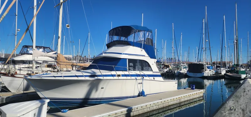 The Image of 1985 Bertram 33 Flybridge Cruiser docked in a marina, surrounded by sailboats. - 0