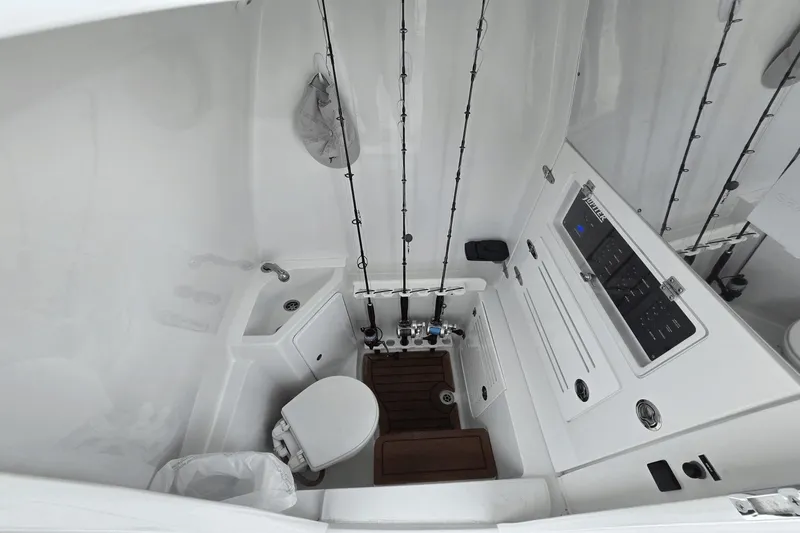 Slide: The Image of Jupiter 34 HFS 2022 - 27