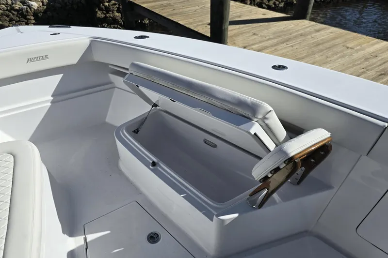 Slide: The Image of Jupiter 34 HFS 2022 - 39