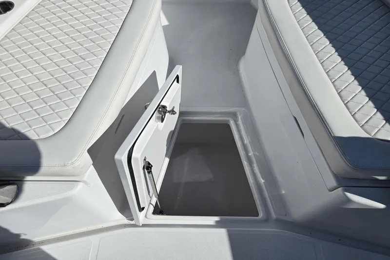 Slide: The Image of Jupiter 34 HFS 2022 - 41