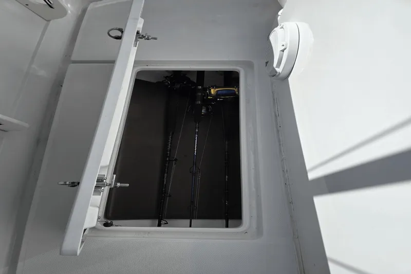 Slide: The Image of Jupiter 34 HFS 2022 - 50