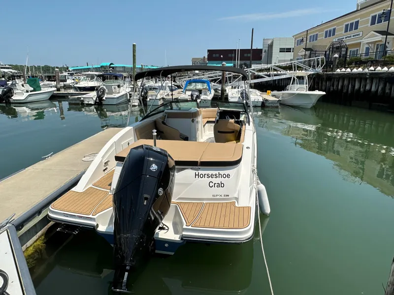 Slide: The Image of 2023 Sea Ray SPX 230 OB boat docked in a marina, named "Horseshoe Crab." - 6