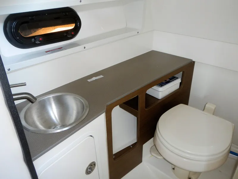 Slide: The Image of Sea Ray SDX 270 2019 - 10