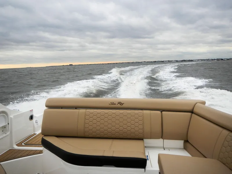 Slide: The Image of Sea Ray SDX 270 2019 - 12