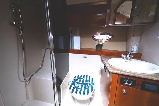 Slide: The Image of 2008 Cruisers 420 Express bathroom with shower, sink, and nautical-themed toilet seat. - 22