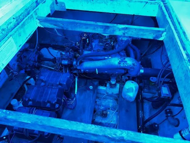 Slide: The Image of Gibson Standard 1977 - 52