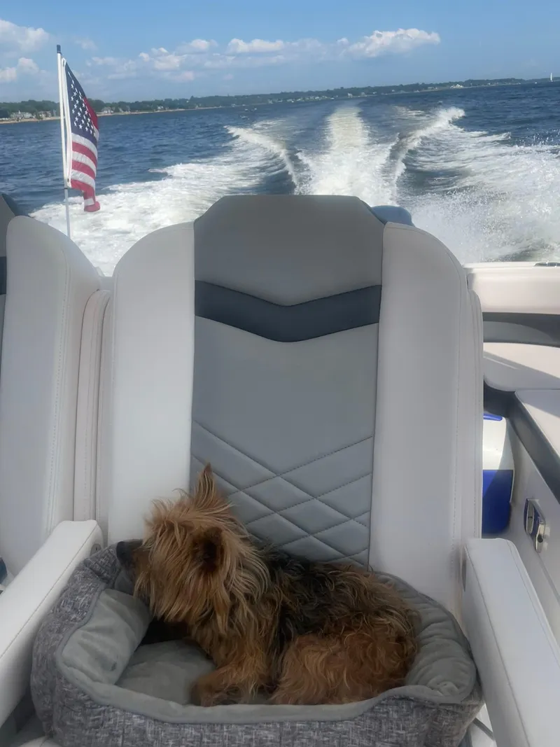 Slide: The Image of Small dog relaxing on a Chaparral 280 OSX boat seat, with American flag and ocean view. - 15
