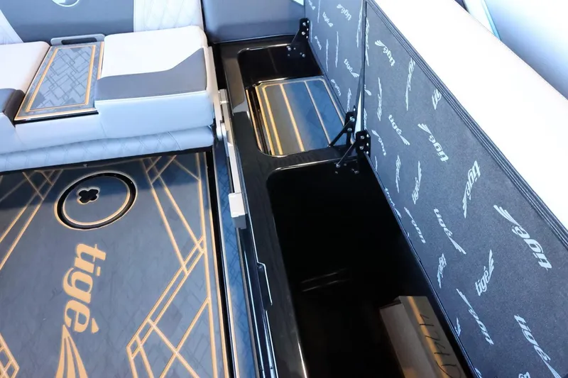 Slide: The Image of Tigé 24RZX 2025 - 62