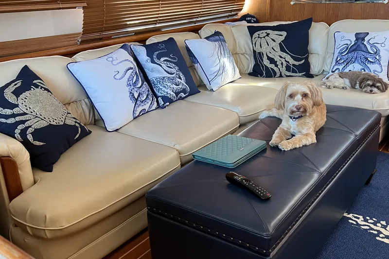 Slide: The Image of Cozy interior of 1995 Carver 440 Aft Cabin Motor Yacht with nautical-themed pillows and dogs. - 21