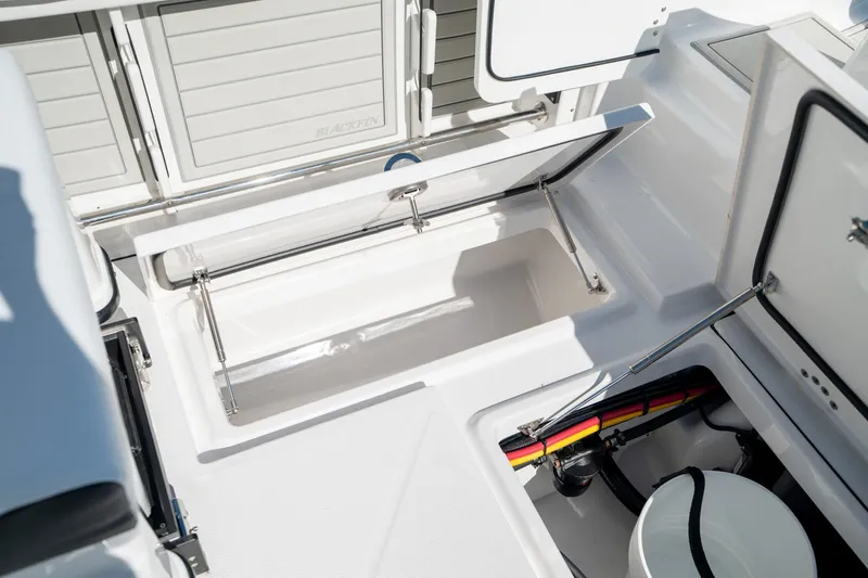 Slide: The Image of Blackfin 302 DC 2024 - 23