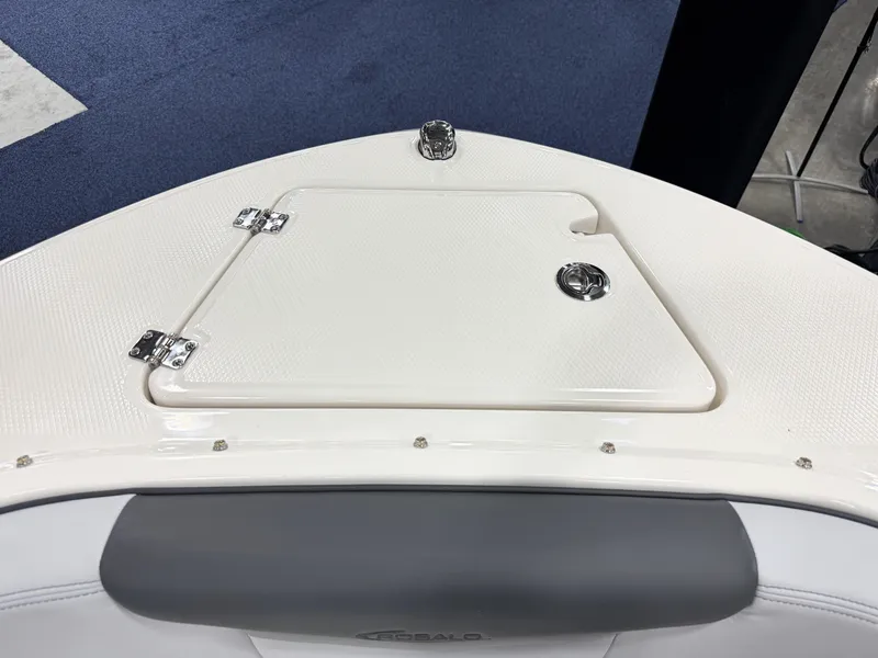 Slide: The Image of 2025 Robalo R207 Dual Console boat deck with storage compartment. - 18
