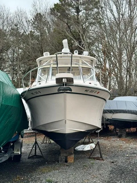 Slide: The Image of 2008 Grady-White Express 305 boat on stands, surrounded by trees and covered boats. - 4