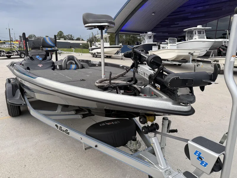 Slide: The Image of Bass Cat Eyra 2021 - 10