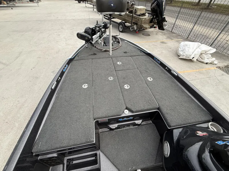 Slide: The Image of Bass Cat Eyra 2021 - 12