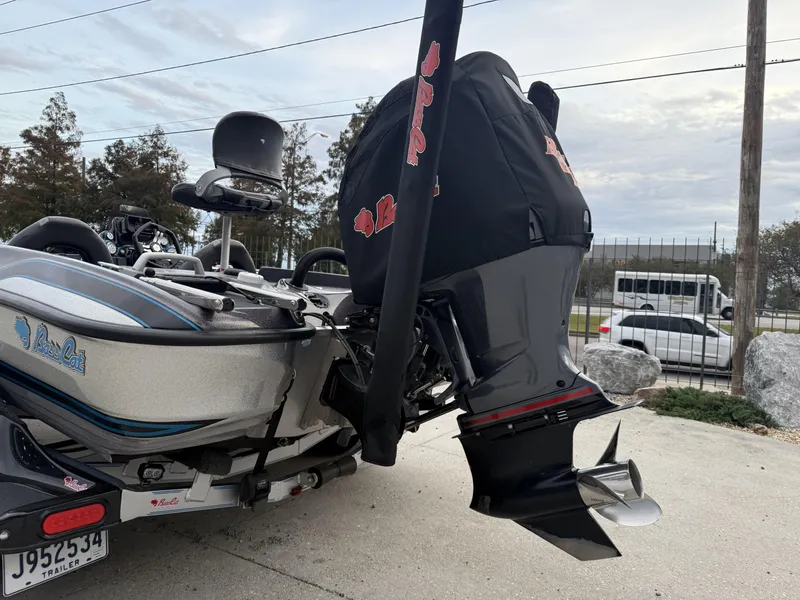 Slide: The Image of Bass Cat Eyra 2021 - 13