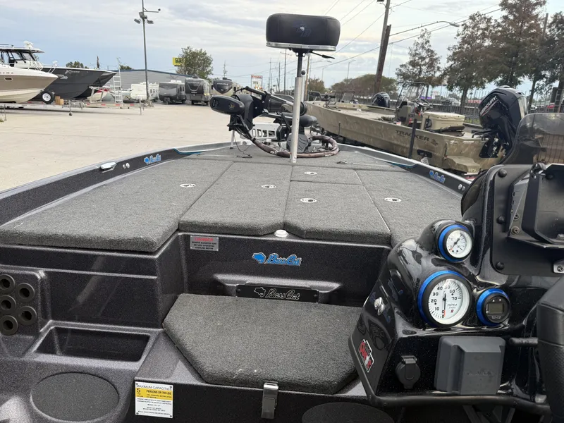 Slide: The Image of Bass Cat Eyra 2021 - 17