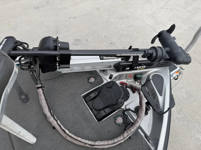 Slide: The Image of Bass Cat Eyra 2021 - 19