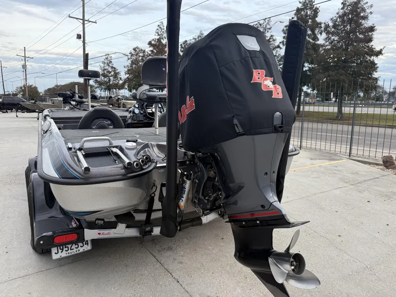 Slide: The Image of Bass Cat Eyra 2021 - 4