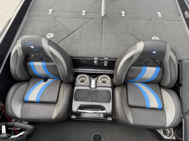 Slide: The Image of Bass Cat Eyra 2021 - 5