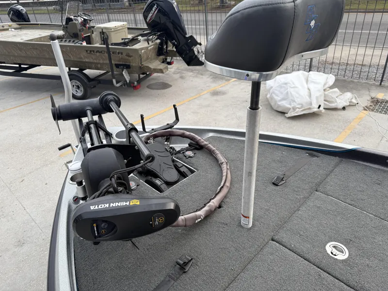 Slide: The Image of Bass Cat Eyra 2021 - 6